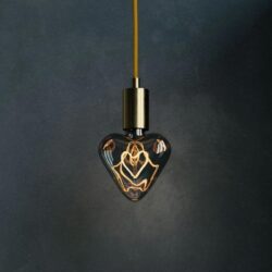 5W E27 LED lemputė Vintage Curved HEART 2