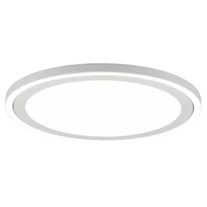 Lubinis LED šviestuvas Carus R44 baltas