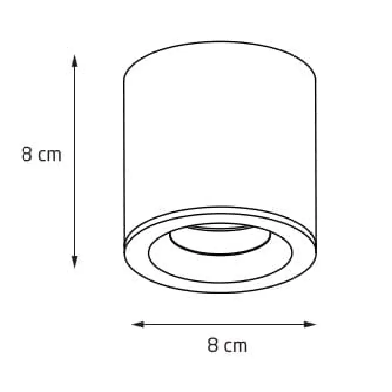 Įmontuojamas šviestuvas 10105R2/W IP65