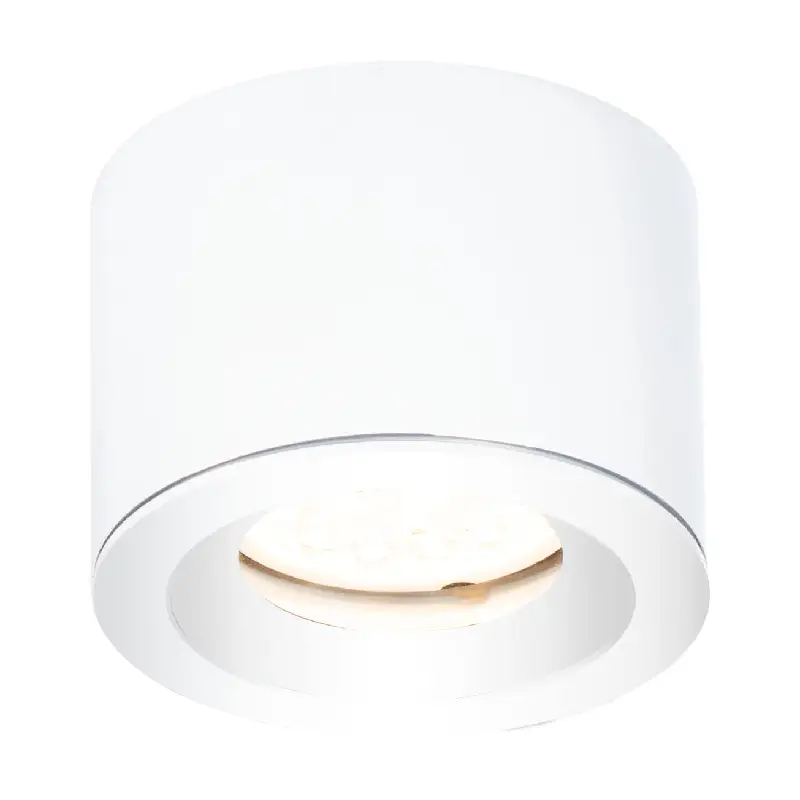 Ceiling lamp Form C0215
