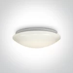 Lubinis šviestuvas 62024C/W IP40