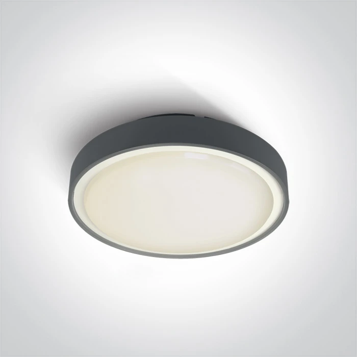 Ceiling light 67280BN/AN/W IP65