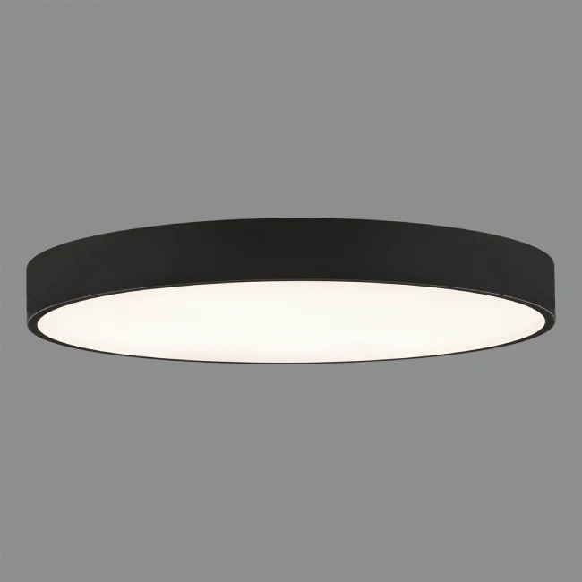 Ceiling light ISIA PRO B100 2700K