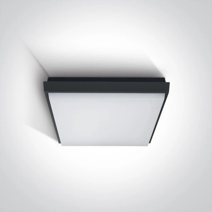 25W Ceiling outdoor light 67362A/AN/W Anthracite IP54