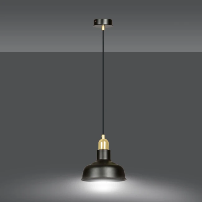Hanging lamp ROWEN 1 Black 1044/1