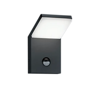 Outdoor lights with a motion sensor