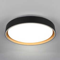 Ceiling lamp Felis R64391080