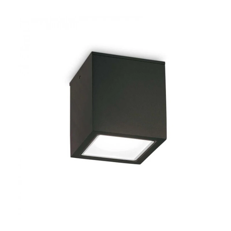 Ceiling light TECHNO PL1 SMALL IP54 251578