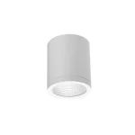 15W Lubinis Led šviestuvas Conyon CCT SWITCH AZ6028 baltas