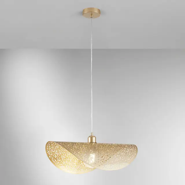 I-RHEI-TARA-S50_T__02671 Pakabinamas šviestuvas RHEI-DOT Gold D50