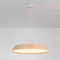 50W Pakabinamas LED šviestuvas CORA Beech