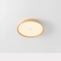 25W Lubinis LED šviestuvas CORA Beech