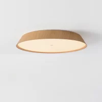 50W Lubinis LED šviestuvas CORA Beech