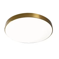 21W Lubinis LED šviestuvas ATEIA PLF-53472-GD