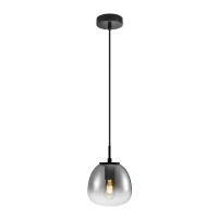 Pakabinamas šviestuvas ANTITA PND-3650-1S-BK-CSG